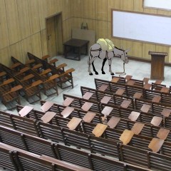 A Donkey in the Class